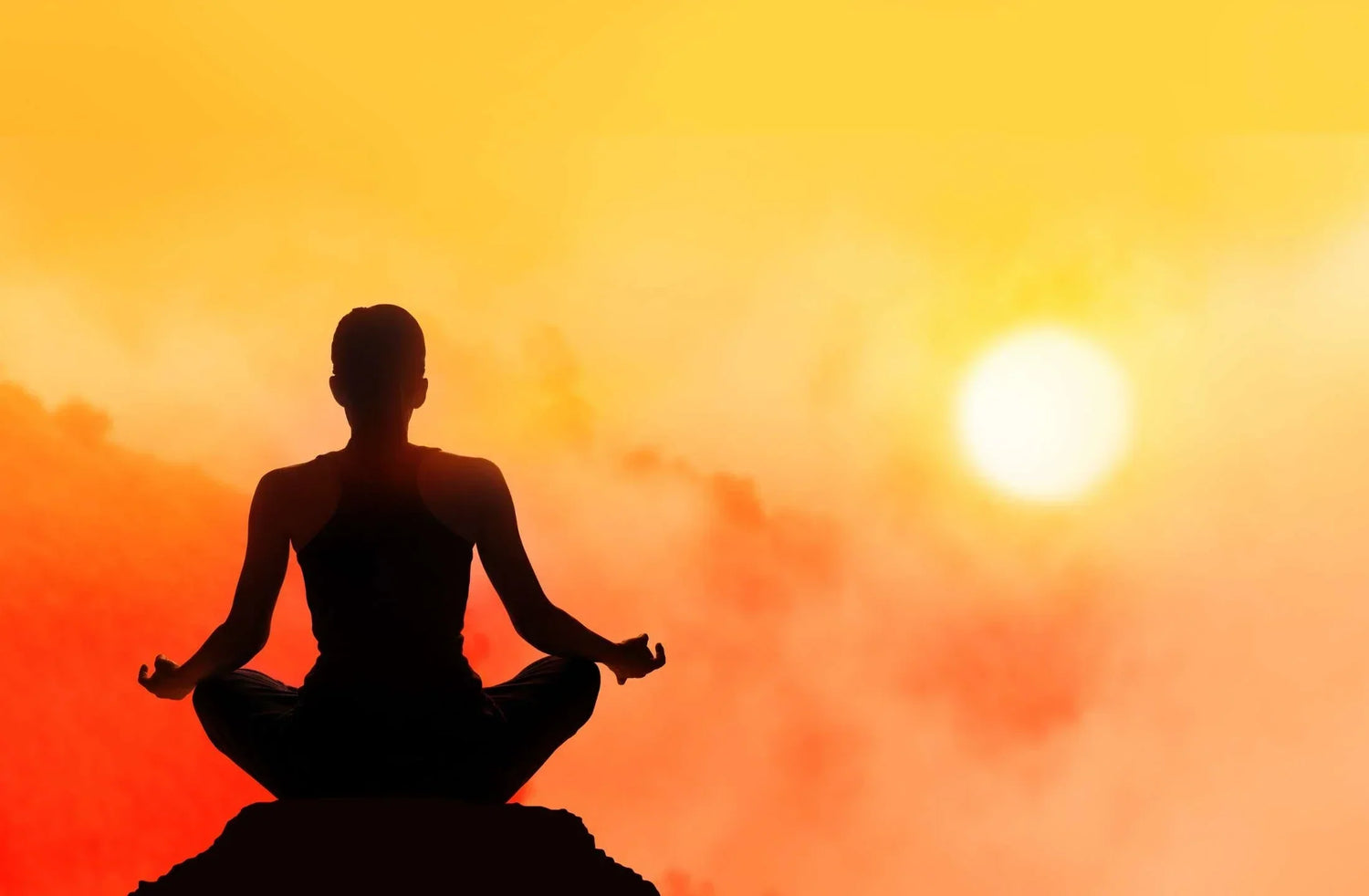 ashwagandha benefits for men for stamina and strength training by daily all day