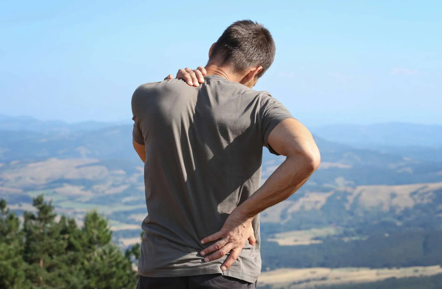 lower back exercises for pain relief by daily all day