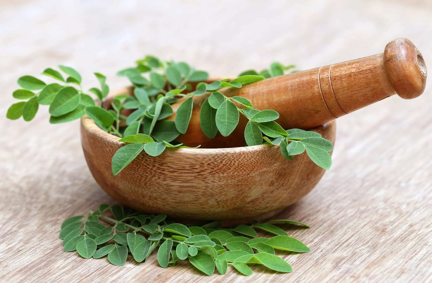 weight loss with moringa powder by daily all day