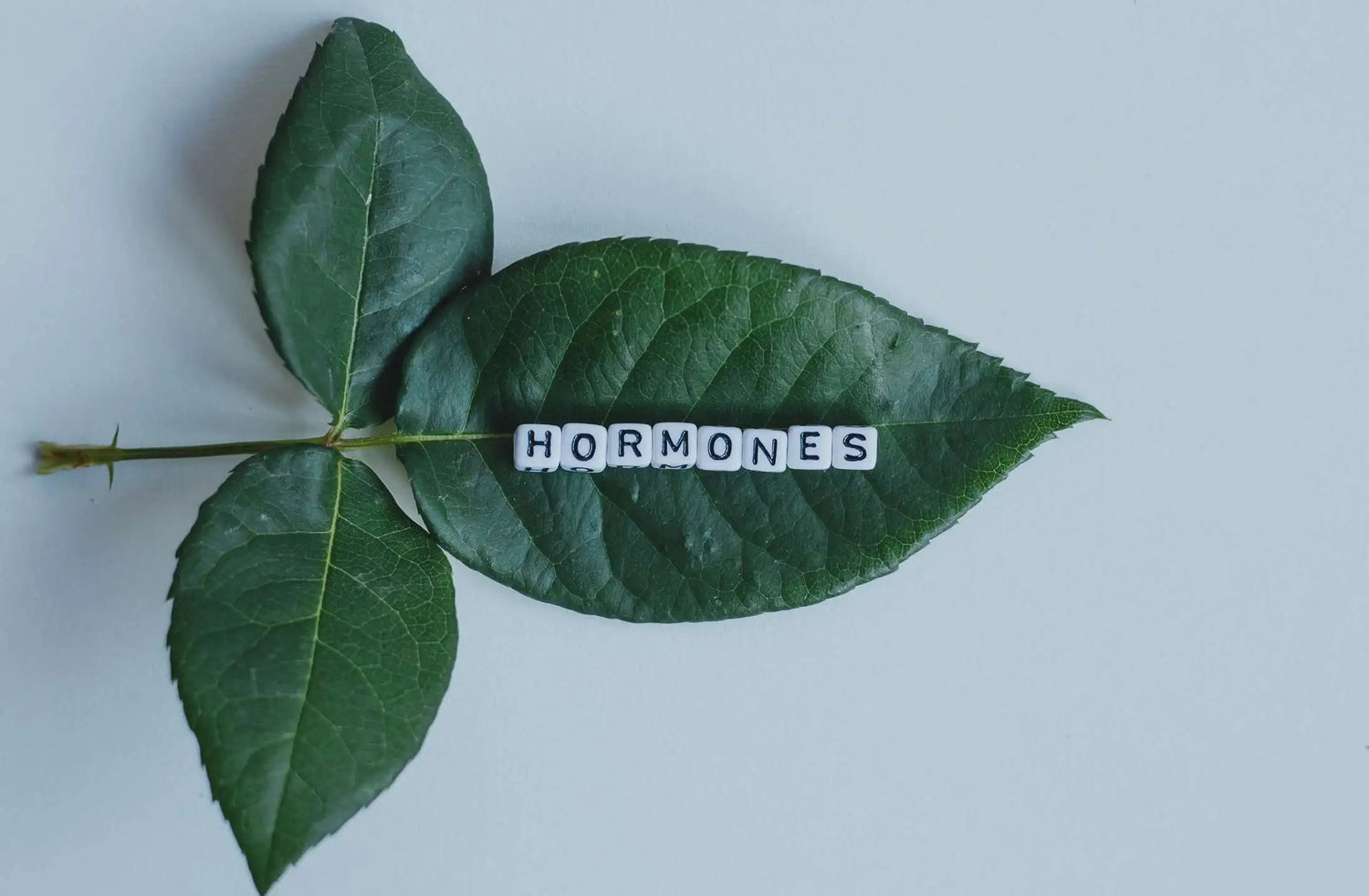 growth hormone balancing with ayurveda