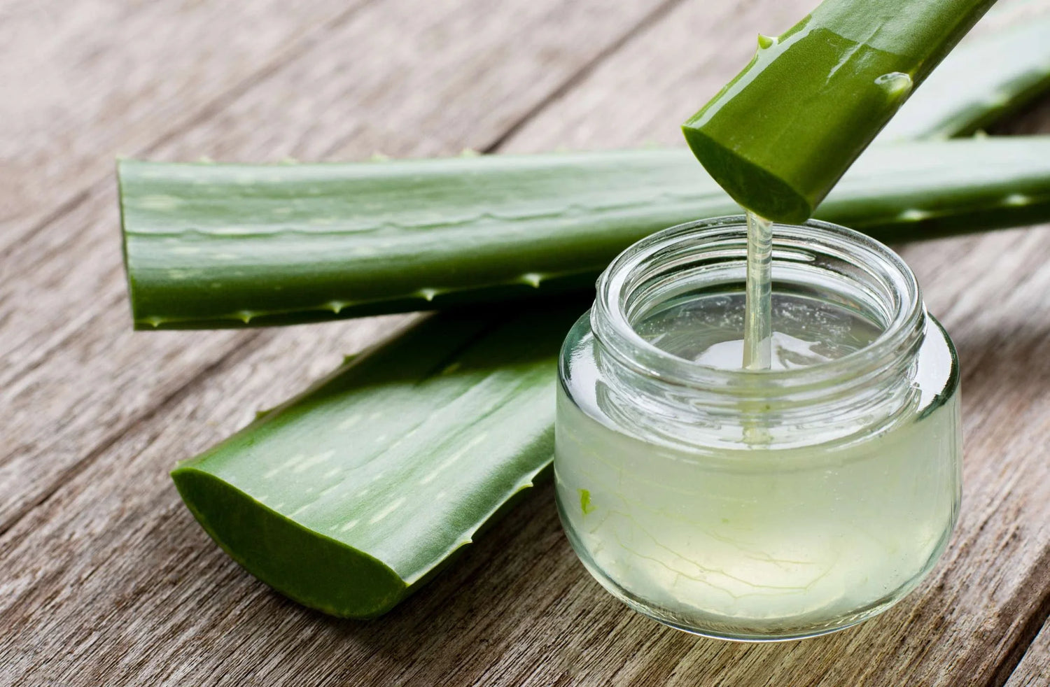 Boosting Immunity with Aloe Vera