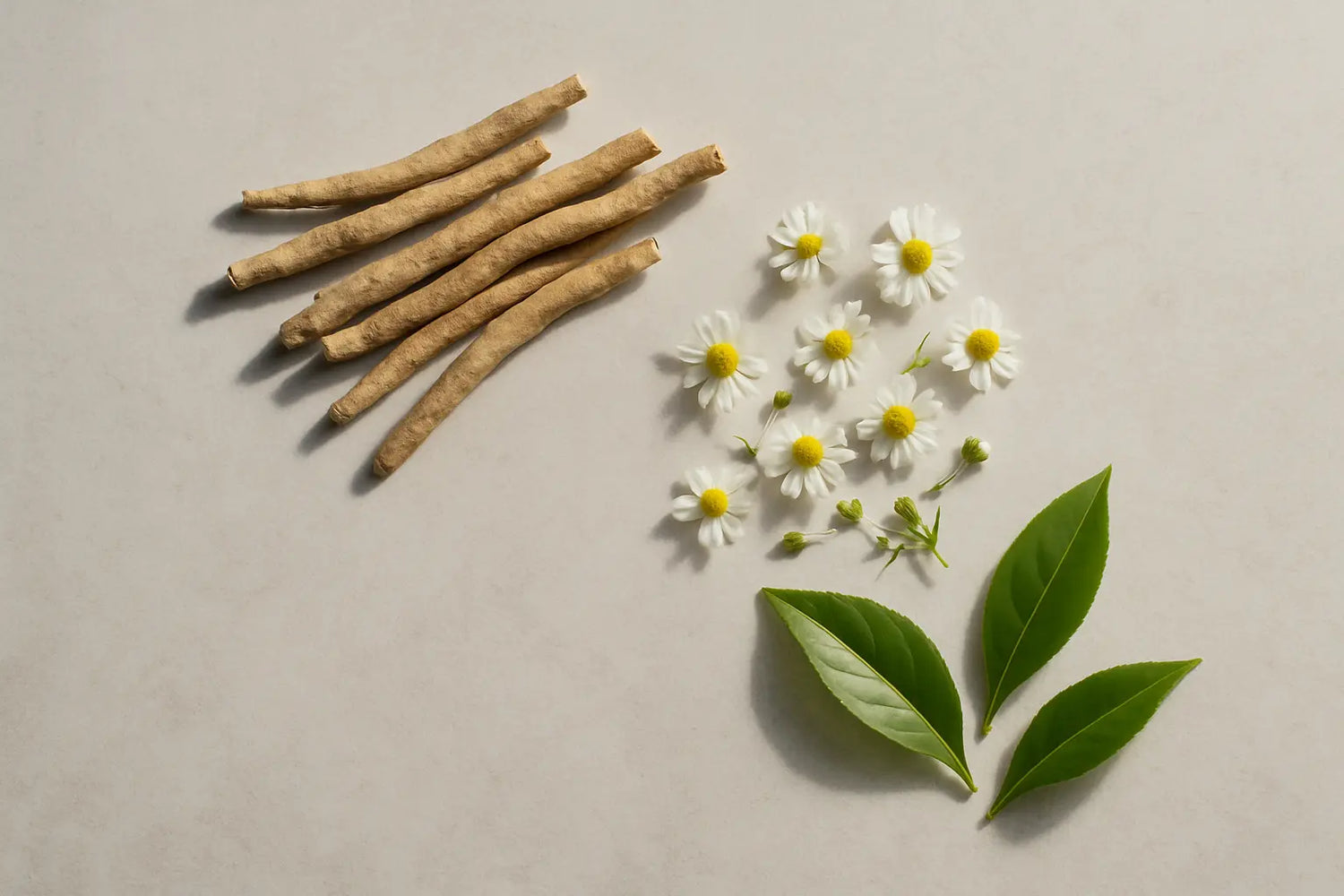 understanding-and-treating-anxiety-disorder-symptoms