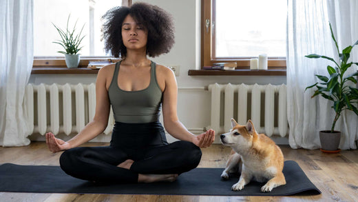 How Can Ayurveda Help You Beat Stress and Improve Cholesterol Levels?