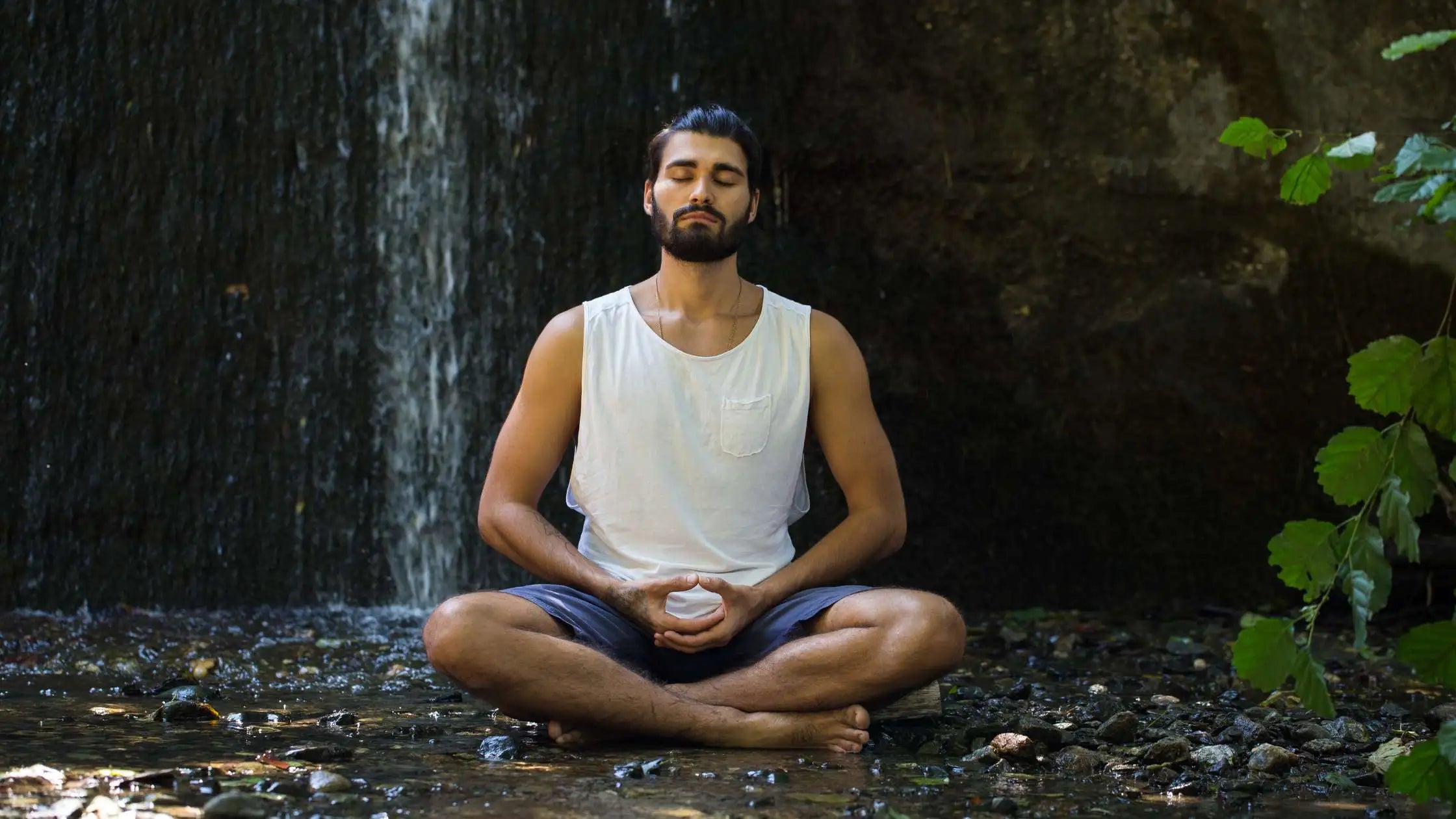 yoga for cholesterol, ashwagandha for mental health by daily all day