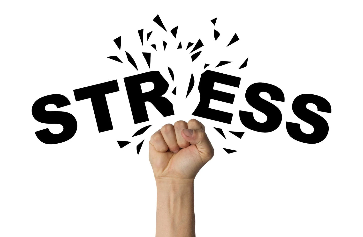 stress management with ayurveda by daily all day
