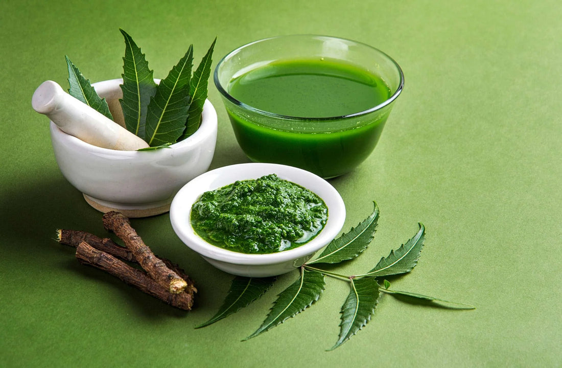 neem benefits by daily all day