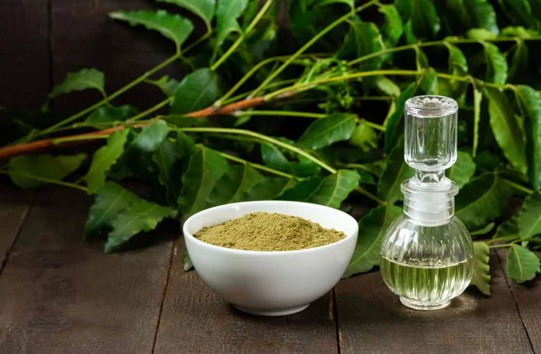 neem benefits by daily all day
