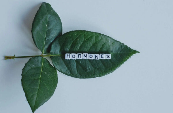 growth hormone balancing with ayurveda 