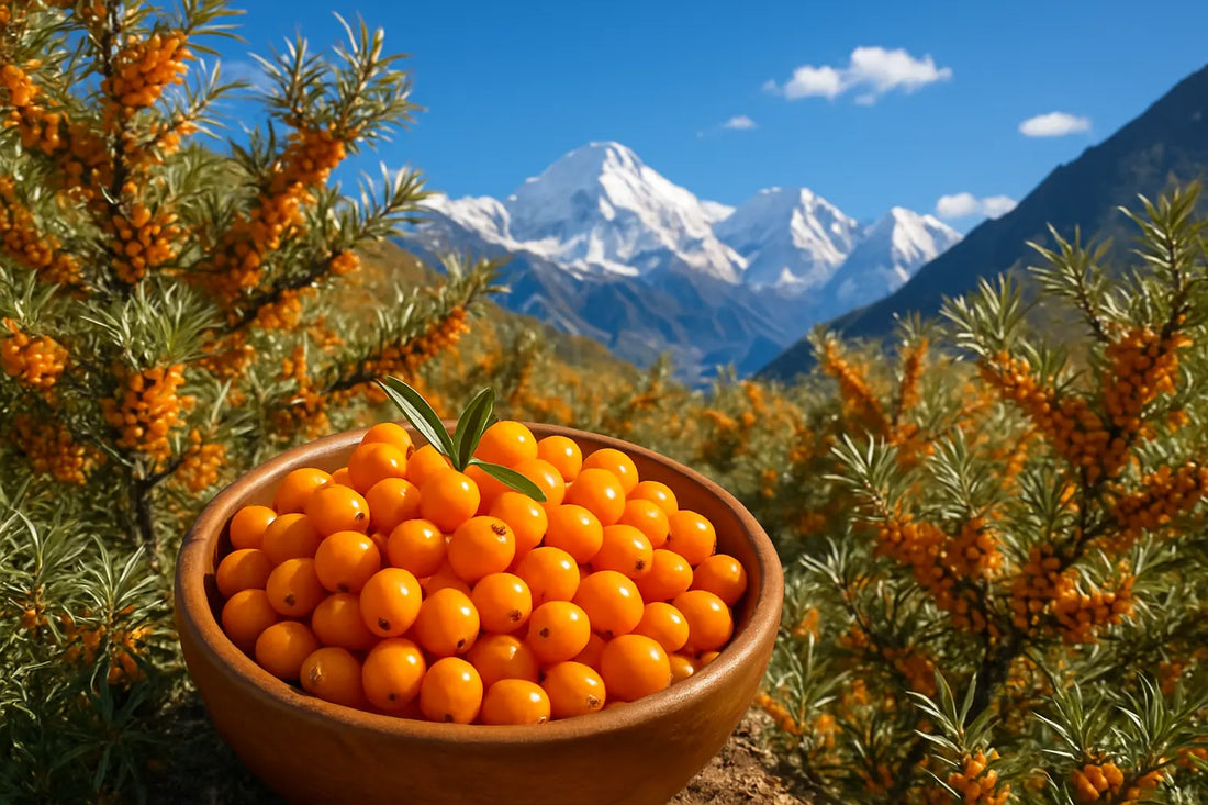 wellwith-sea-buckthorn-juice-benefits-india-immunity-skin-gut