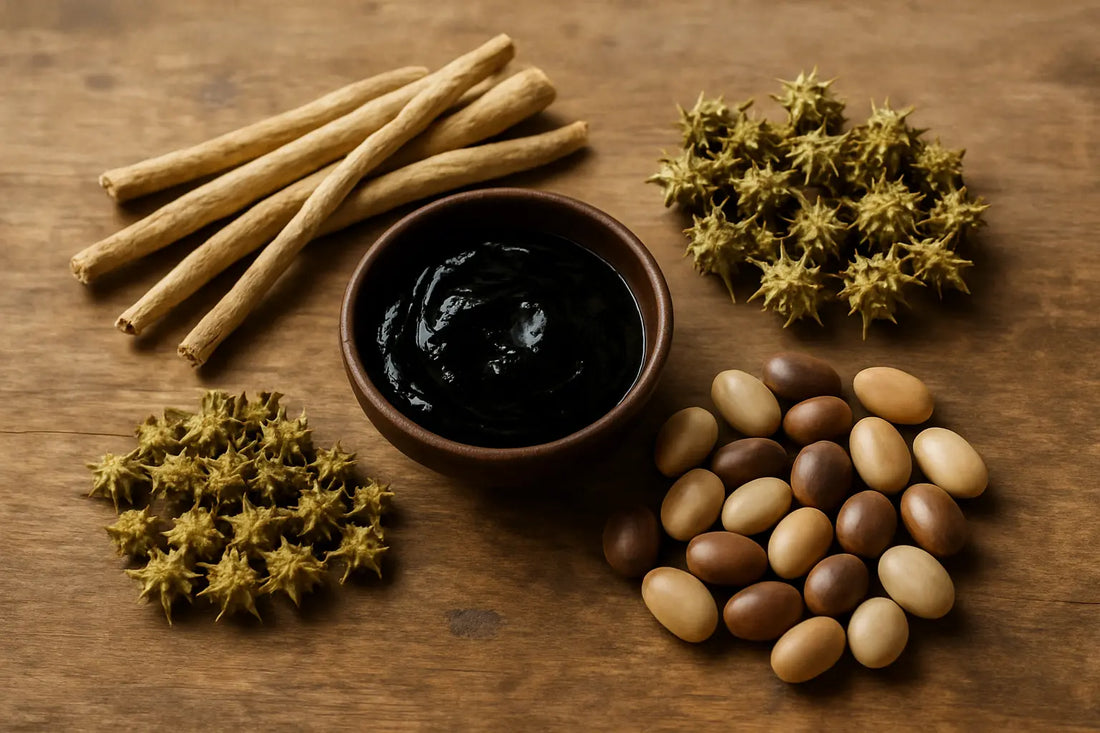ayurvedic-guide-vitality-stamina