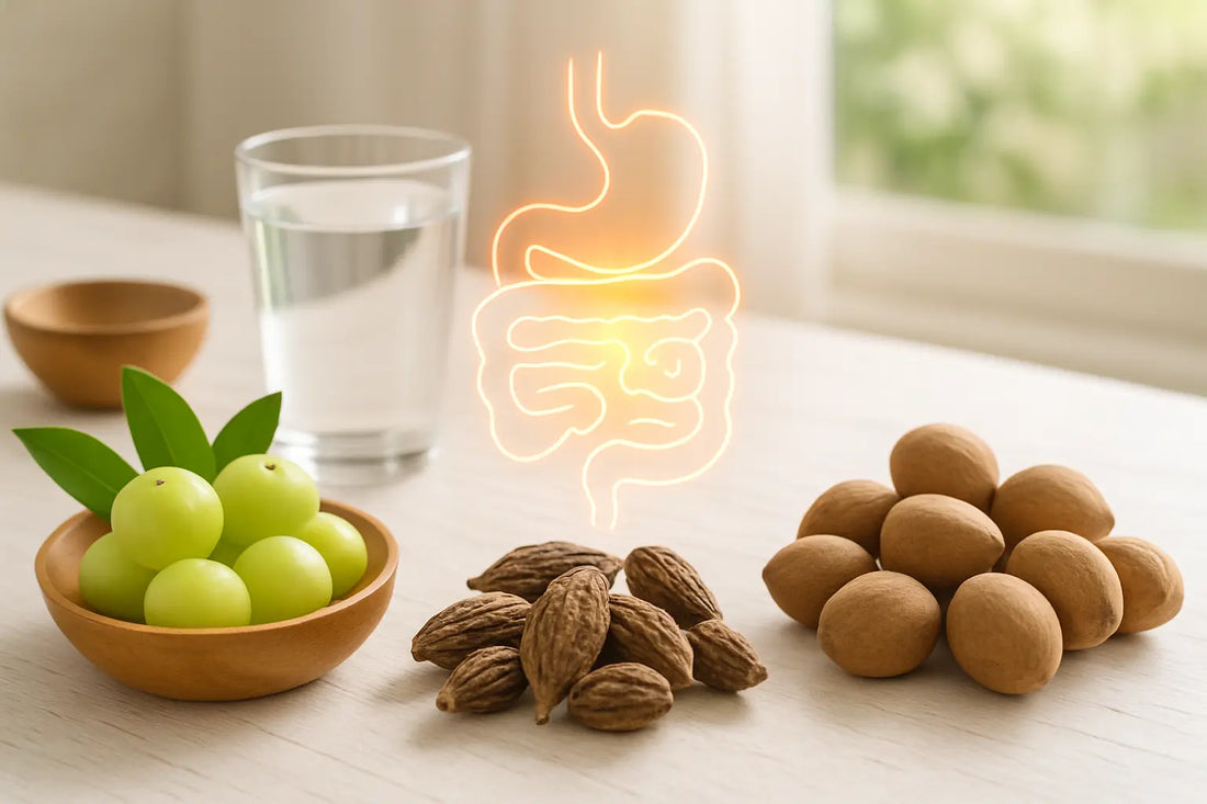 acidity-bloating-loose-motions-triphala-support-indian-gut