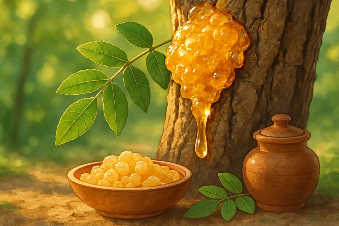 boswellia-serrata-joint-pain-benefits-india