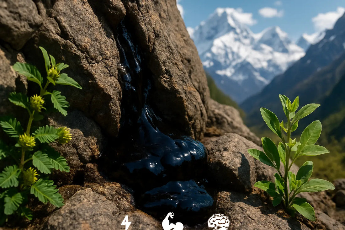 shilajit-meaning-benefits-himalayan-strength