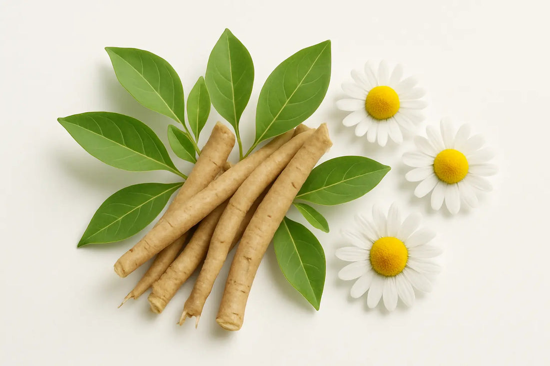 ashwagandha-stress-support-indian-professionals