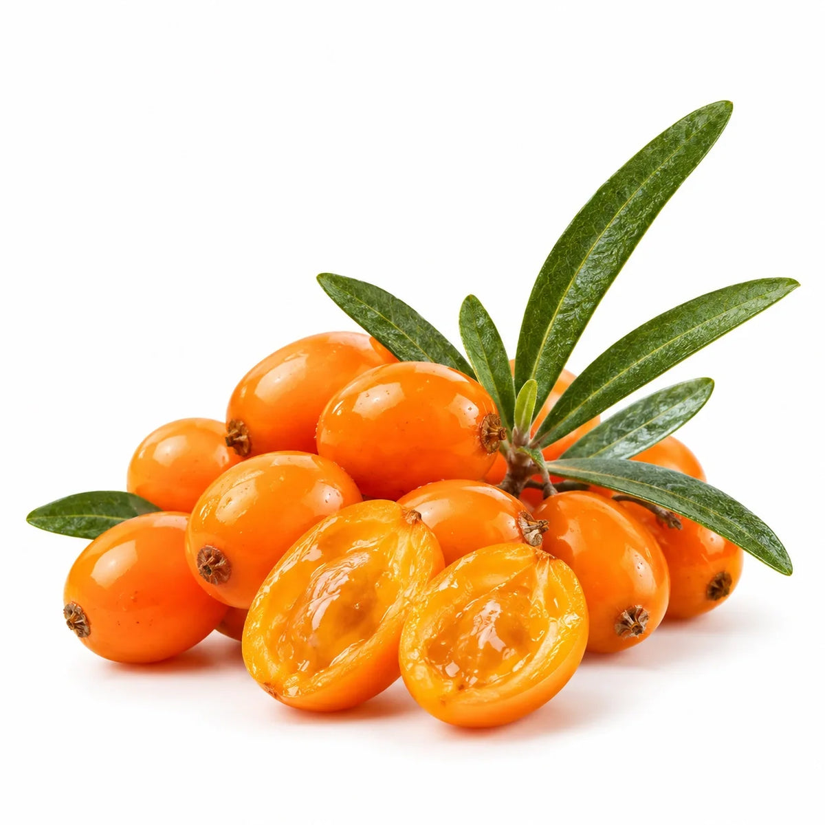 Sea Buckthorn Pulp Berry