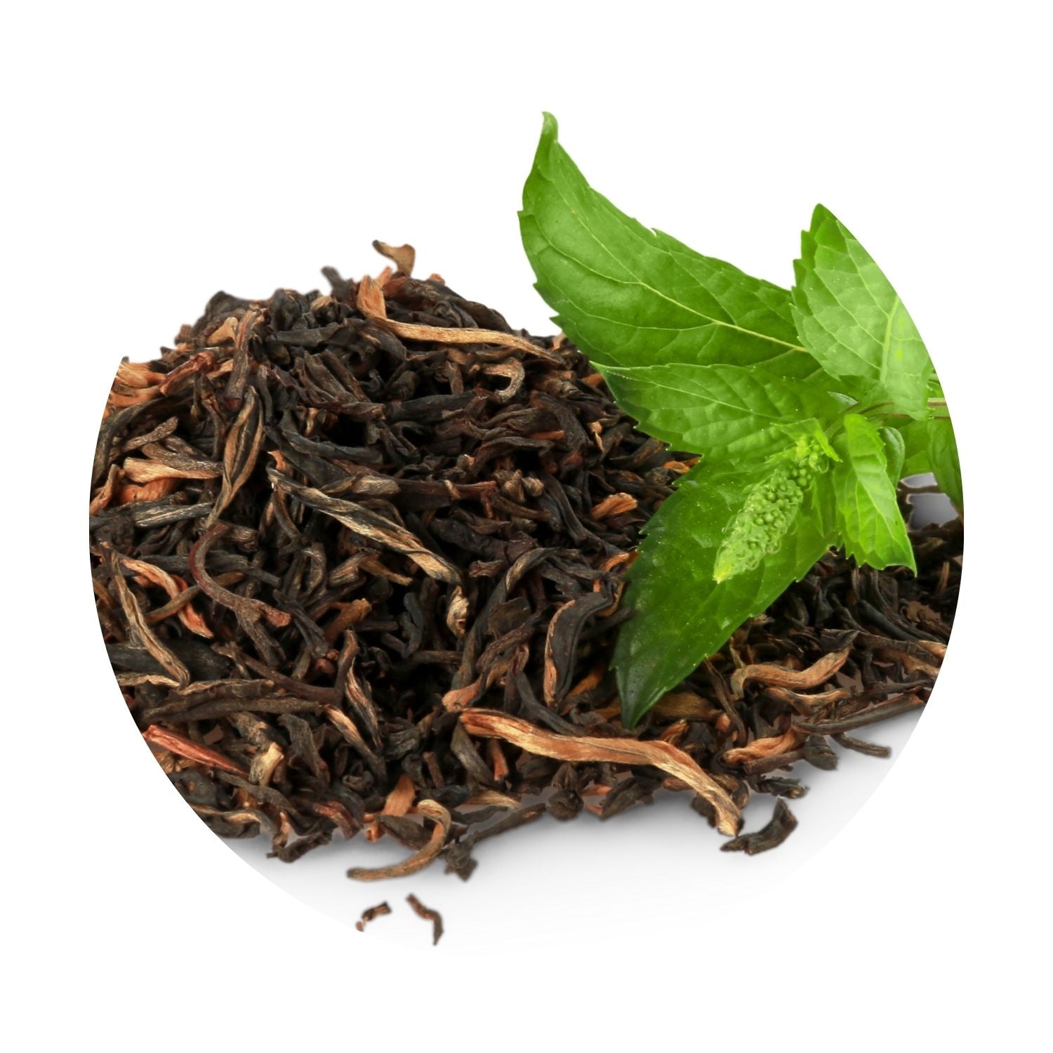green tea benefits for weight loss by daily all day