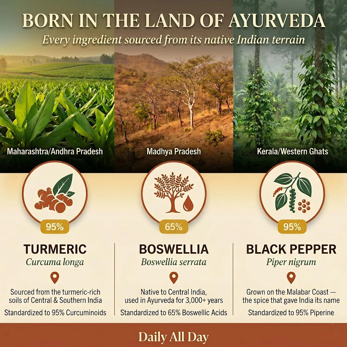 Turmeric, boswellia serrata and black pepper sourced from India
