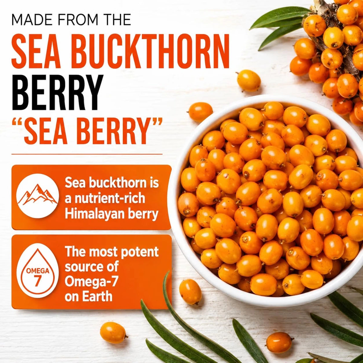 Sea Buckthorn Softgels 1000mg - Omega-7 & Antioxidants