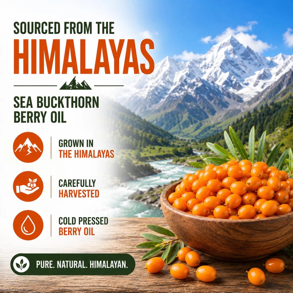 Sea Buckthorn Softgels 1000mg - Omega-7 & Antioxidants