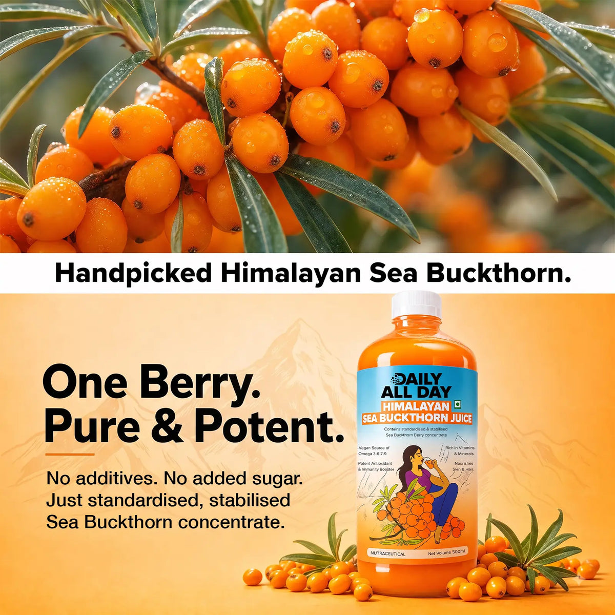 Sea buckthorn berries - handpicked himalayan sea buckthorn juice with no added sugar