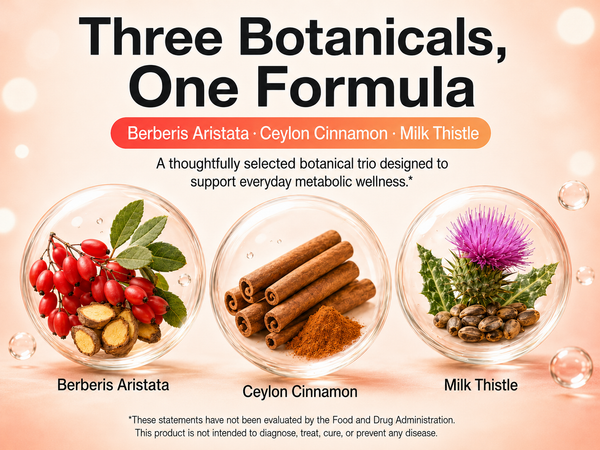 Gluco Wise- Blood Sugar Support