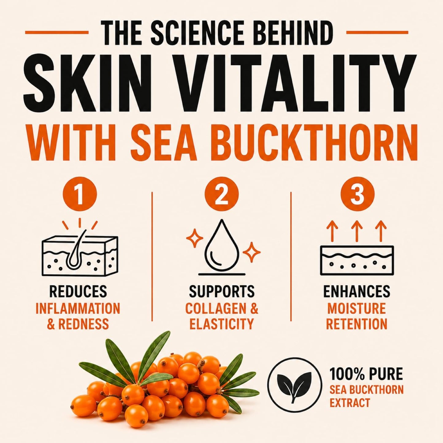 Sea Buckthorn Tablets - Omega-3,6,7,9 & Antioxidants