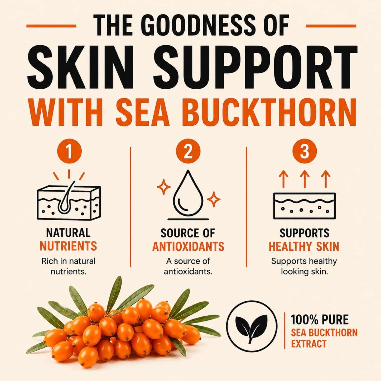 Sea Buckthorn Tablets 1000mg - Omega-3,6,7,9 & Antioxidants
